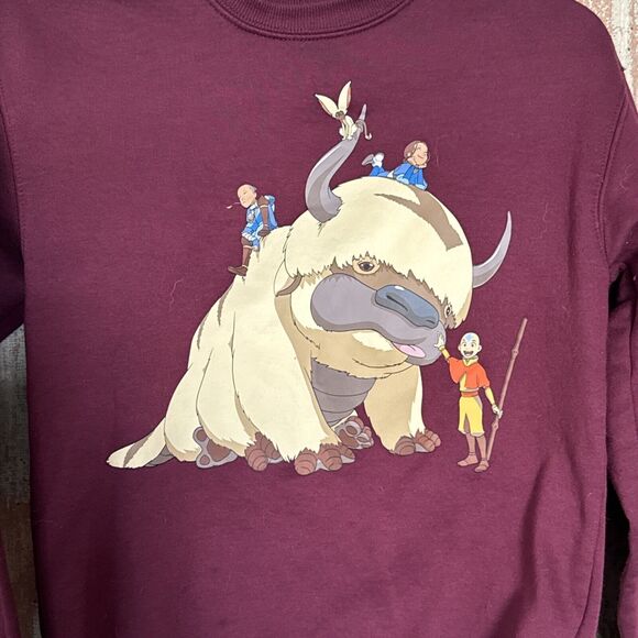 Avatar The Last Airbender Group Portrait Aang, Burgundy Sweater, Womens Size XS - Picture 2 of 7